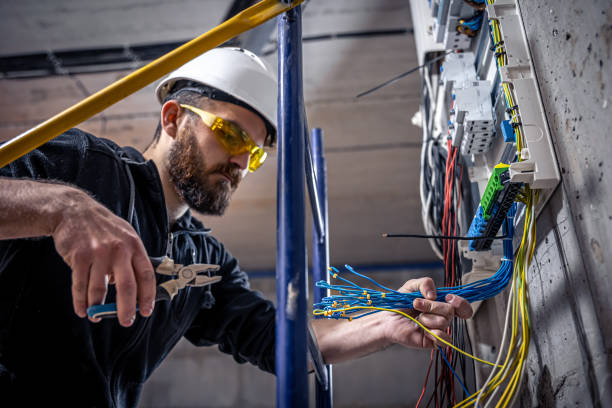 Best Electrical Repair Services  in Pleasant Ridge, MI