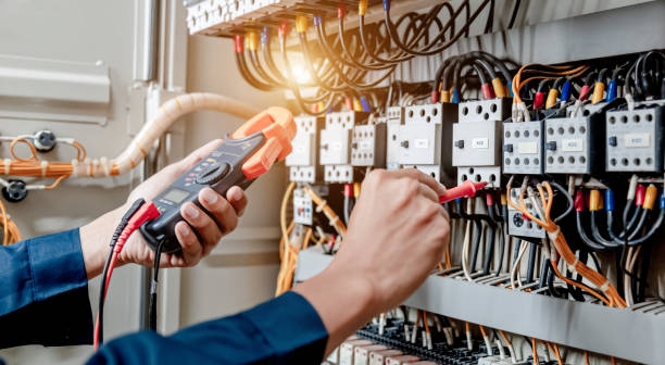 Best Electrical Upgrades for Homes  in Pleasant Ridge, MI